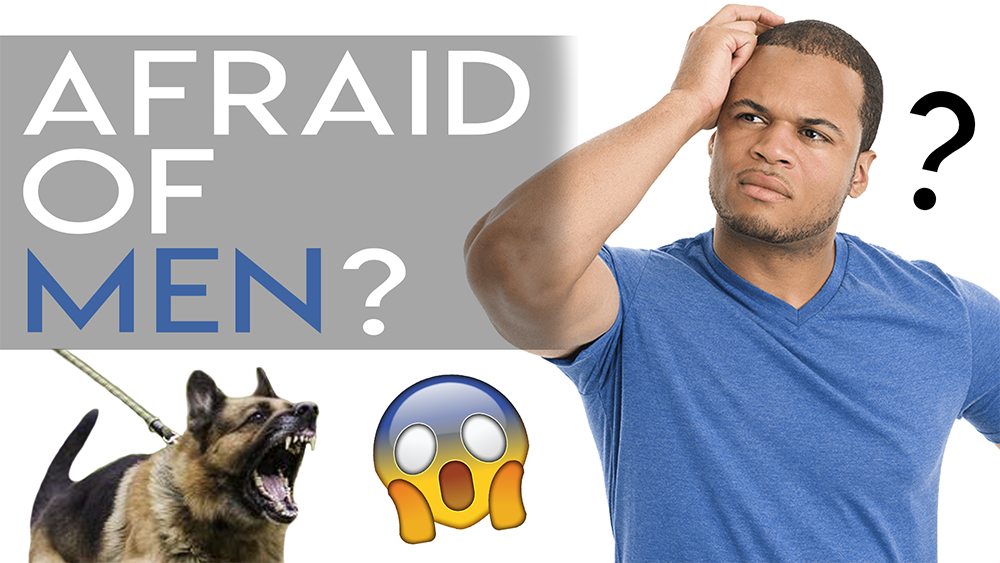 Why Some Dogs are Afraid of Men